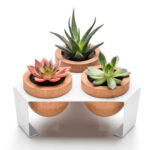 self watering planters halohope 012