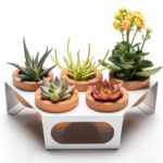 large wooden plant pots halohope 013